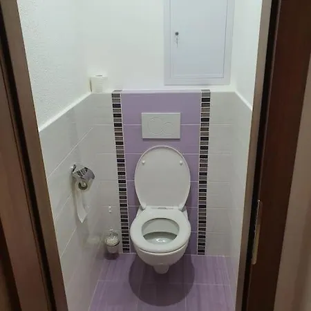 Velky 2-4 Osob V Srdci Tatier Apartment